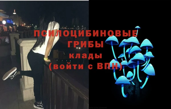 бошки Арсеньев